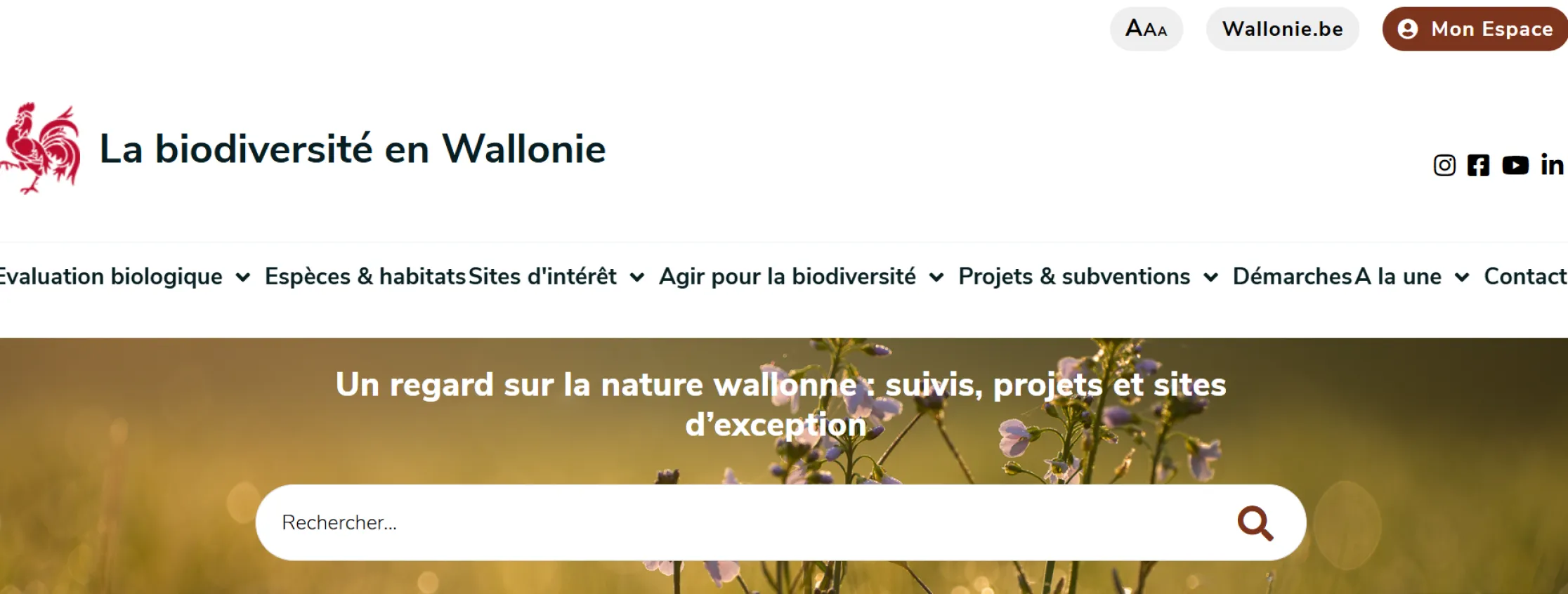website biodiversity Wallonia