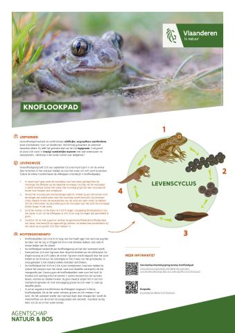 factsheet